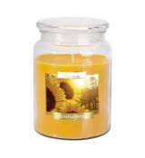 Bispol Sunflowers Maxi sviečka v skle s viečkom 500 g