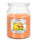 Bispol Tropical Fruits Maxi sviečka v skle s viečkom 500 g